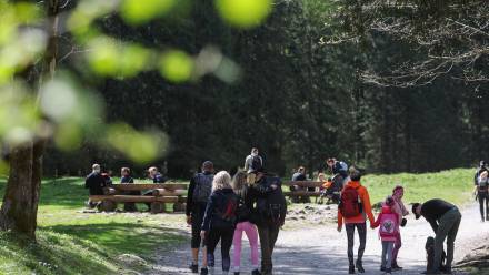 Turyści na szlaku, fot. PAP/Grzegorz Momot