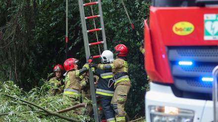 Usuwanie skutków nawałnicy przez straż pożarną, zdjęcie ilustracyjne, fot. PAP/Grzegorz Momot