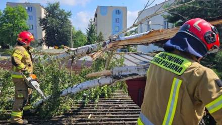 W niedzielę do godz. 8 PSP odnotowało 589 wyjazdów do usuwania skutków burz. Fot. X/PSP