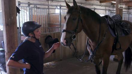 Policja konna fot. PAP