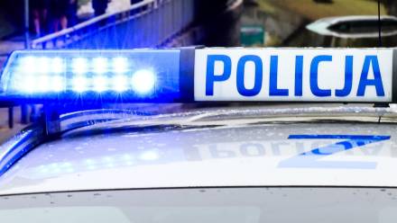 Radiowóz policji. Fot. PAP/Szymon Pulcyn