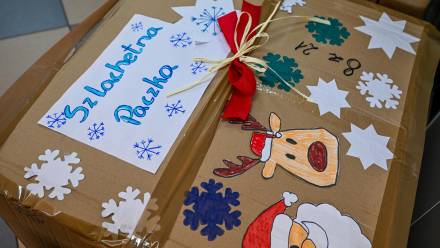 Fot. PAP/Darek Delmanowicz