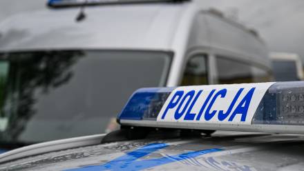 Policyjny radiowóz. Zdj. ilustracyjne. Fot. PAP/Darek Delmanowicz