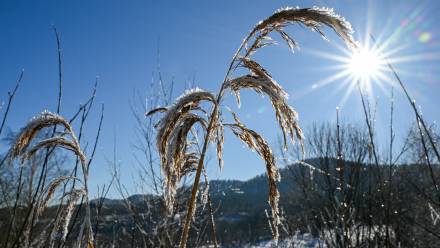 Zima. Fot. PAP/Darek Delmanowicz