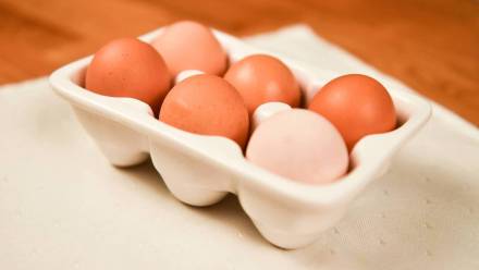 Jajka Fot. PAP/Andrzej Lange
