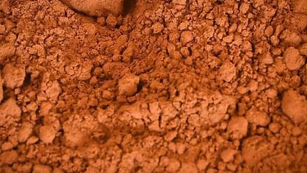 Kakao. Fot. PAP/Andrzej Lange