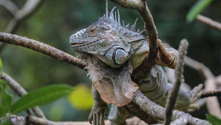 Zdjęcie ilustracyjne. Fot. PAP/EPA/CHAMILA KARUNARATHNE