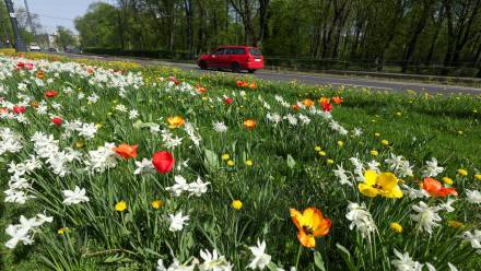 Zdjęcie ilustracyjne Fot. PAP/Szymon Pulcyn
