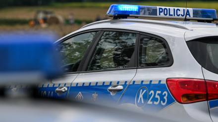 Radiowóz policyjny Fot. PAP/Darek Delmanowicz