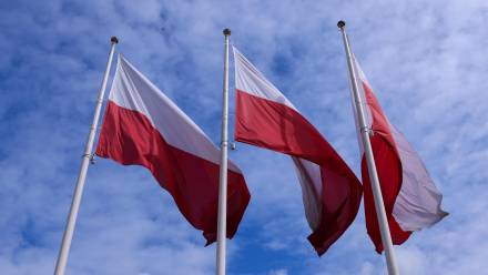 Flagi Polski. Zdj. ilustracyjne. Fot. PAP/Albert Zawada