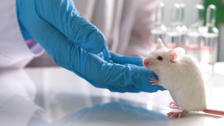 Zdjęcie ilustracyjne Fot. Adobe Stock/filin174