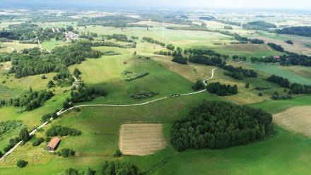 Zdjęcie ilustracyjne Fot. Adobe Stock/fasi79