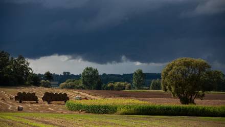 Rolnik zwozi bele słomy z pola przed nadchodzącą burzą Fot. PAP/Michał Zieliński