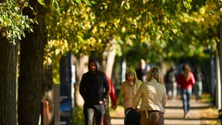 Długie spacery. Fot. PAP/Andrzej Jackowski