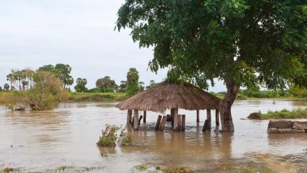 Fot. Adobe Stock/emjay smith