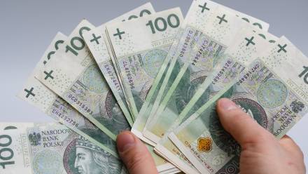 Banknoty. Fot. Adobe Stock/ Paweł Kacperek