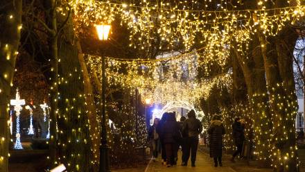 Zeszłoroczna iluminacja bożonarodzeniowa "Ogrody światła" na Wzgórzu Tumskim w Płocku. Fot. PAP/Szymon Łabiński
