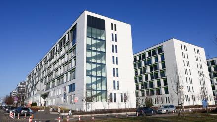 Fot. PAP/Leszek Szymański