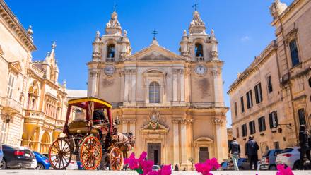 Mdina, Malta. Katedra św. Pawła Fot. Adobe Stock/cristianbalate