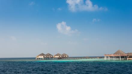Wyspa Vaadhoo na Malediwach. Fot. Adobe Stock