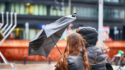 Silny wiatr. Fot. Adobe Stock/FotoDax