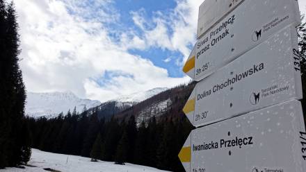 Szlak na halę Ornak Fot. PAP/Grzegorz Momot