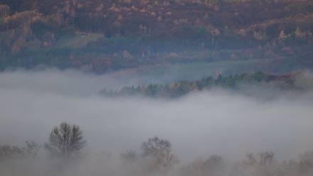 Mgła. Fot. PAP/Darek Delmanowicz
