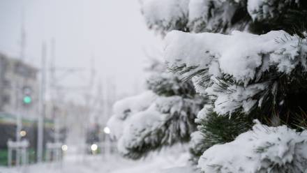 Śnieg. Zdjęcie ilustracyjne. Fot. PAP/Jakub Kaczmarczyk