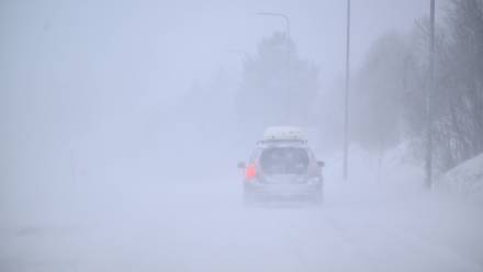 Na północy Szwecji ponad 40 tys. gospodarstw domowych pozostaje bez prądu. Fot. PAP/EPA/	PONTUS LUNDAHL