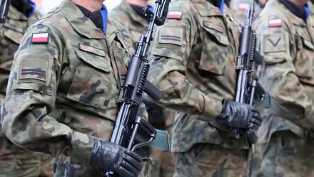 Premier: nie planujemy wysłania polskich żołnierzy na Grenlandię. Fot. Adobe Stock/ FotoDax