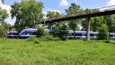 Bocznica. Fot. Adobe Stock/Albin Marciniak (zdjęcie ilustracyjne)