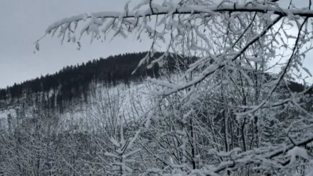 Zdj. ilustracyjne. Fot. PAP/Jacek Bednarczyk