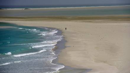 Wyspa Sokotra, fot. PAP/EPA/YAHYA ARHAB