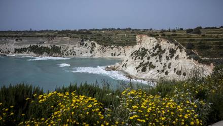 Wybrzeże na Malcie - zdjęcie ilustracyjne Fot. PAP/Wiktor Dąbkowski