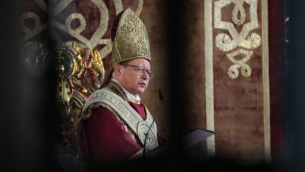 Kard. Grzegorz Ryś. Fot. PAP/	Łukasz Gągulski