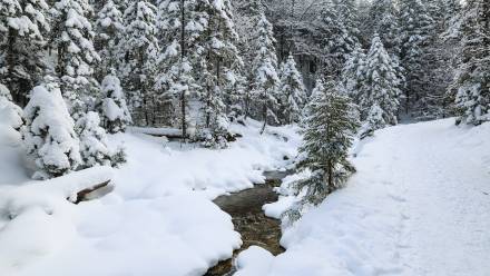 Zima w Tatrach. Fot. PAP/Grzegorz Momot