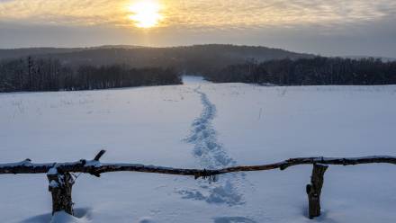 Ośnieżone pole Fot. PAP/Darek Delmanowicz