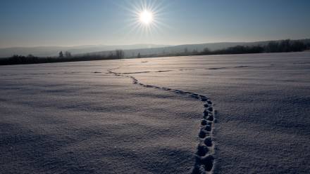 Mróz. Fot. PAP/Darek Delmanowicz