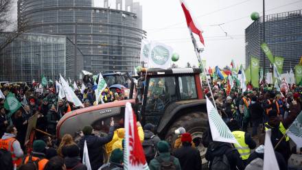 Protest rolników w Strasburgu. Fot. PAP/EPA/YOAN VALAT