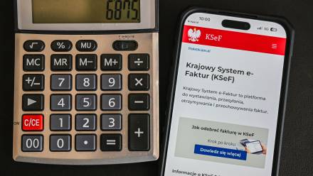 KSeF (zdjęcie ilustracyjne). Fot. PAP/Darek Delmanowicz