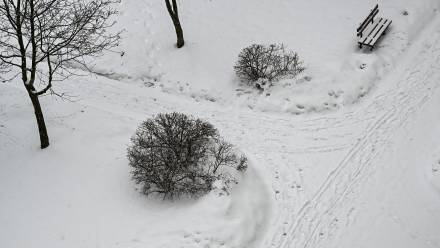 Opady śniegu. Fot. PAP/Darek Delmanowicz