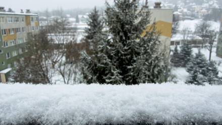 Opady świeżego śniegu. Fot. PAP/Darek Delmanowicz
