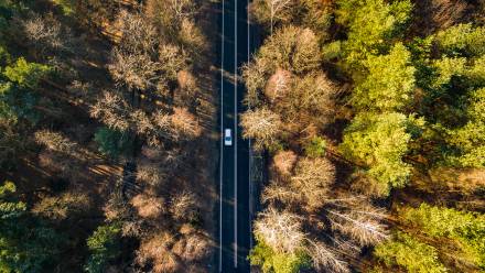 Według danych Instytutu Badań Rynku Motoryzacyjnego SAMAR w grudniu 2025 r. zarejestrowano w Polsce 9821 nowych chińskich samochodów. Fot. Adobe Stock/BlackMediaHouse