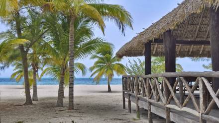 Isla Pasion. Fot. Nenad Basic/Adobe Stock