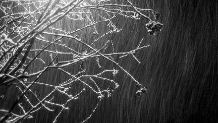 Nocne opady śniegu. Zdj. Ilustracyjne. Fot. PAP/Tytus Żmijewski