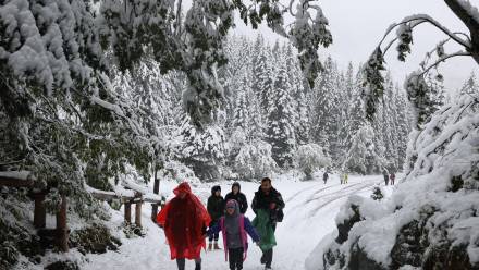  Turyści na trasie do Morskiego Oka w Tatrach. Fot.  PAP/Grzegorz Momot