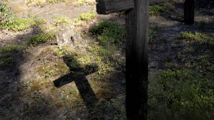 Cmentarz w Ostrówkach, zdjęcie ilustracyjne, fot. PAP/Darek Delmanowicz