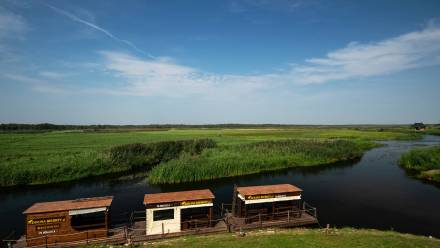 Tratwy dla turystów na rzece Biebrzy w Biebrzańskim Parku Narodowym we Wroceniu. Fot. PAP/Michał Zieliński