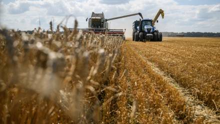 Żniwa pszenicy na Ukrainie, fot. PAP/Vladyslav Musiienko