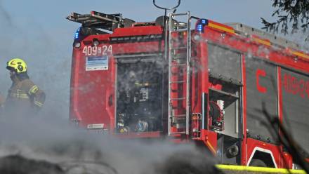 Asp. sztab. Anetta Potrykus: na tym etapie śledztwa nie wykluczamy udziału osób trzecich. Fot. PAP/	Darek Delmanowicz (zdjęcie ilustracyjne)